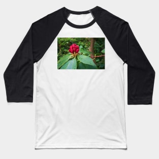 Rhododendron In Bud Baseball T-Shirt